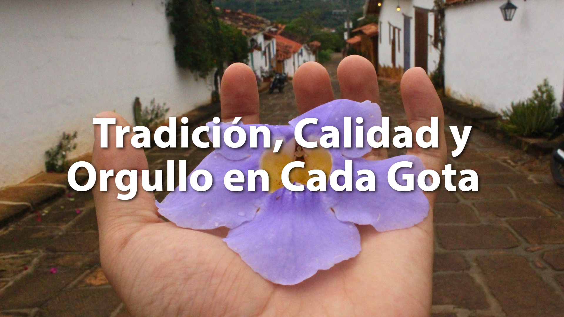 Banner ELS